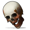 Human Skull